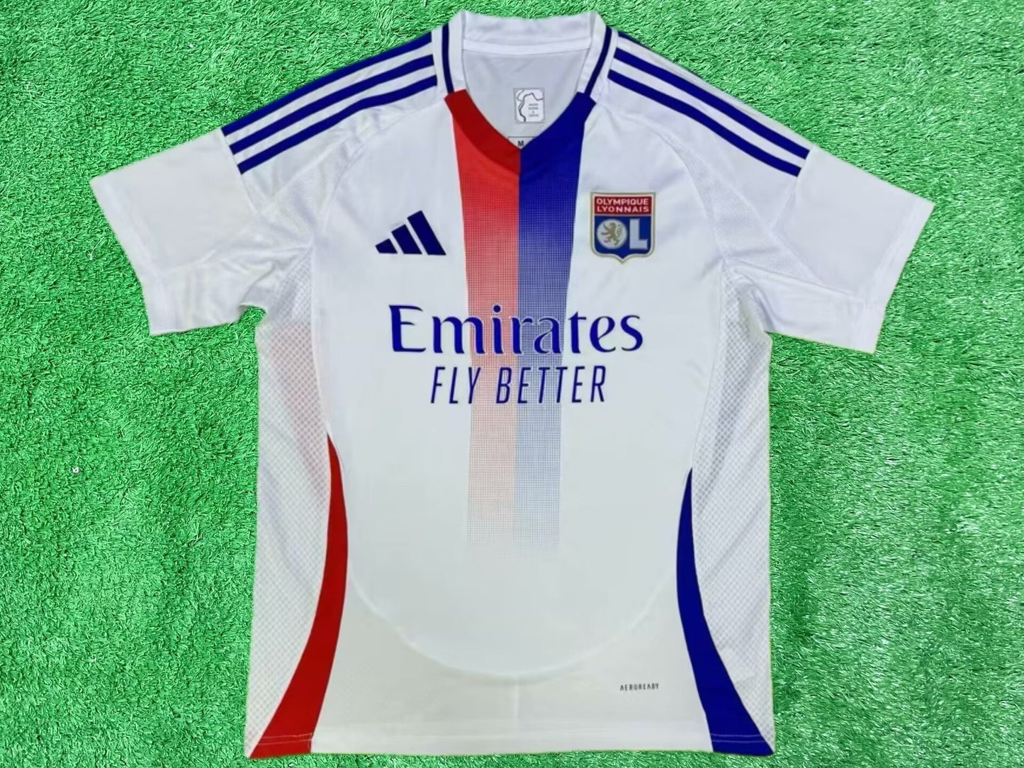 Version supporters 24/25 Lyon à domicile
