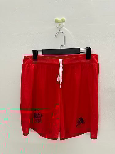 Version Joueur 24/25 Short domicile du Bayern