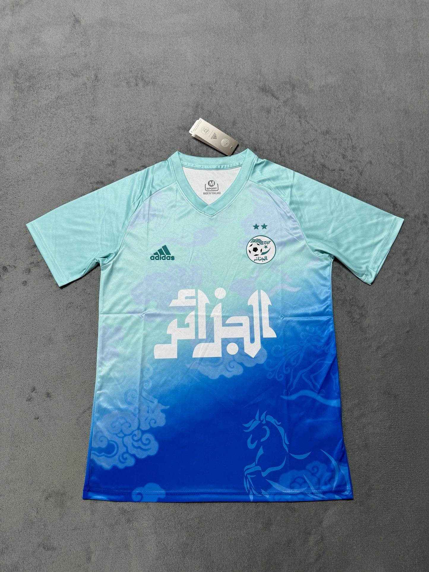 Tenue d'entraînement algérienne bleu clair Version Fans 2526