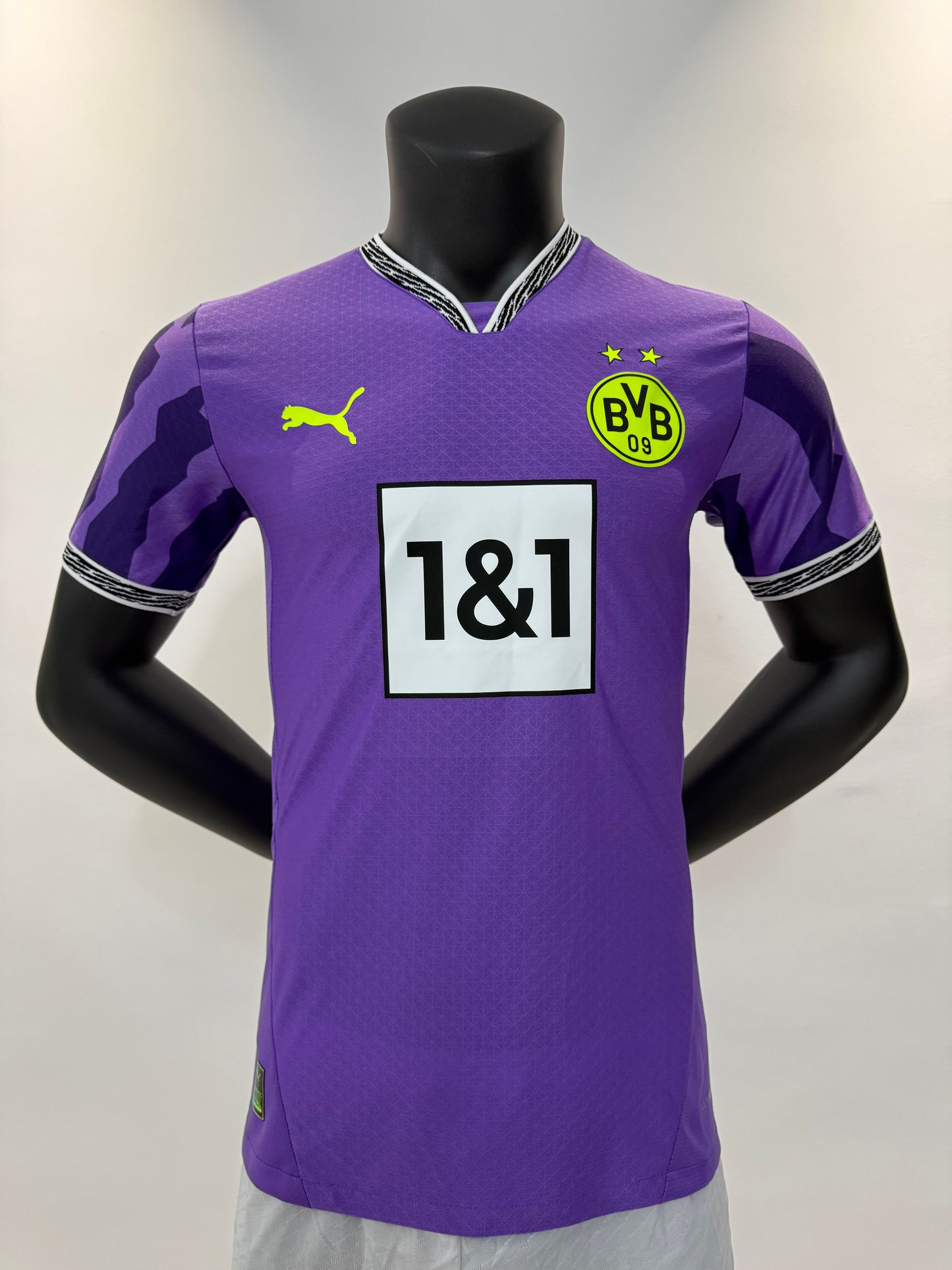 Gardien de but violet Dortmund 25/26