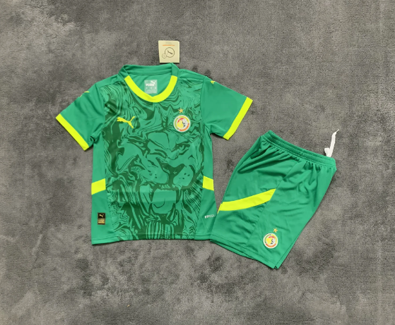 Kits enfants 24/25 Sénégal Vert