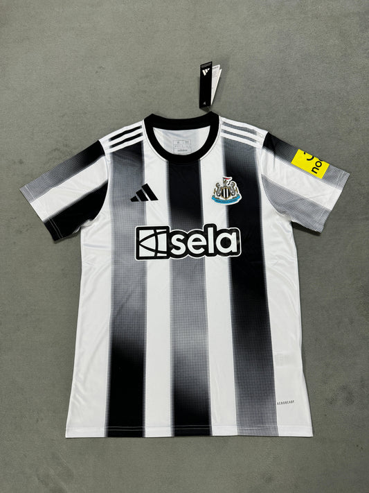 Version des fans 25/26Le terrain de Newcastle