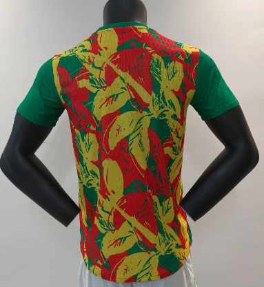 Version Joueur 24/26 Édition Spéciale Sénégal