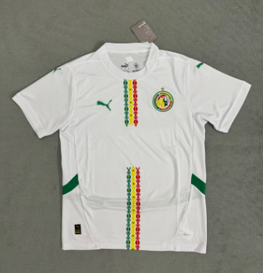 Version supporters 25/26 Sénégal Domicile