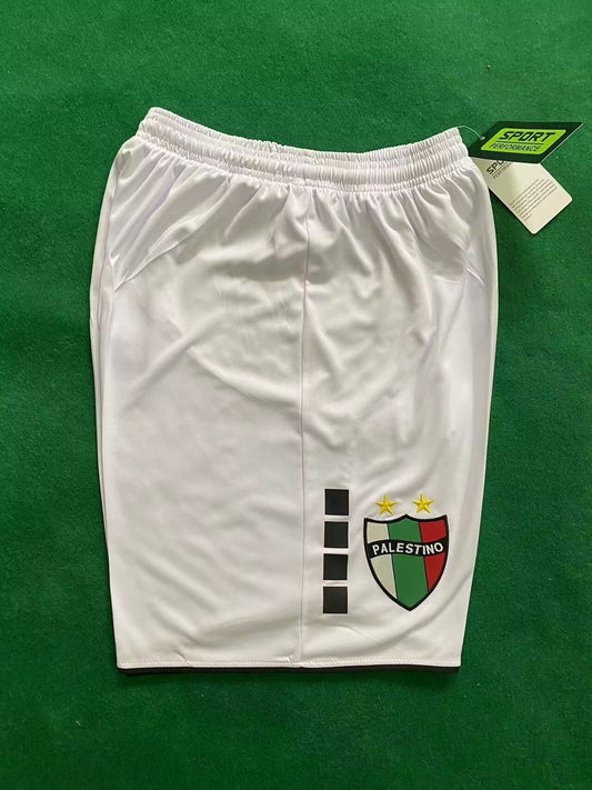 Short domicile Palestine 24/25 version supporters