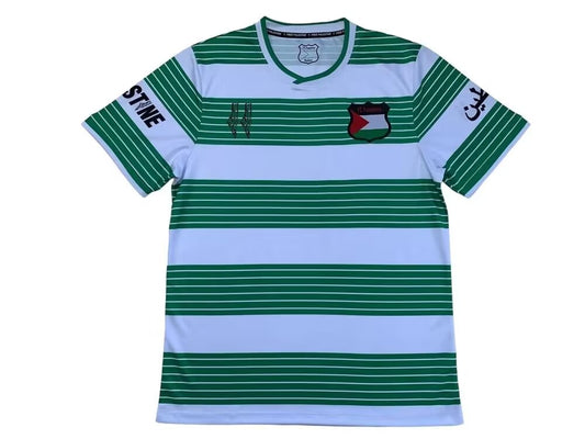 Version Fans 24/25 Palestine Green