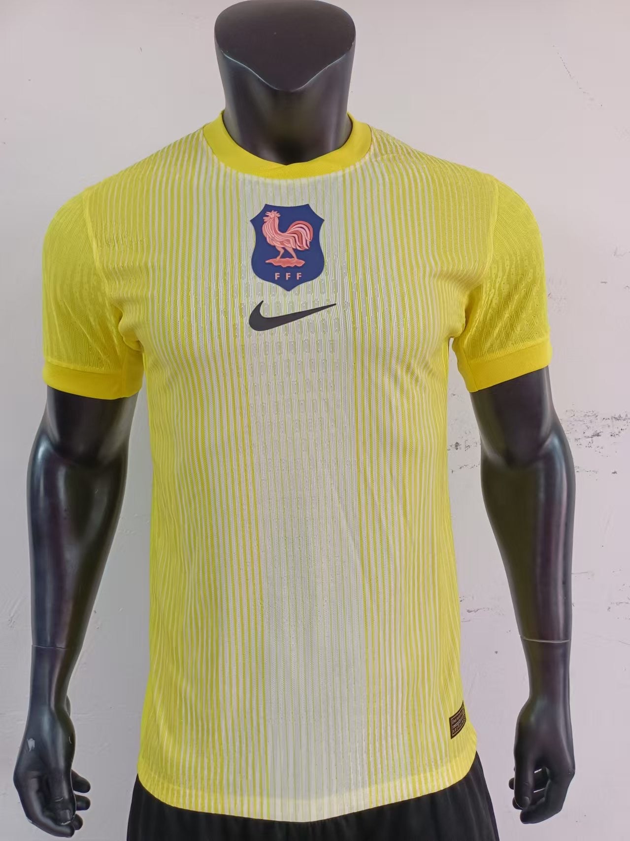 Version Joueur 25/26 Édition Joueur Gardien de But Français