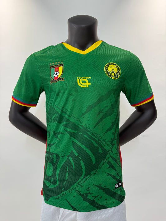 25/26Le terrain du Cameroun