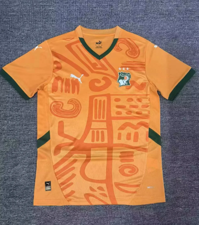 Fan Version 24/25 Côte d'Ivoire domicile